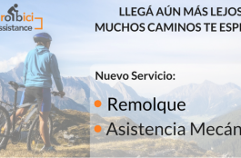 Que nada te frene: Asistencia Mecánica y Remolque para tu Bici