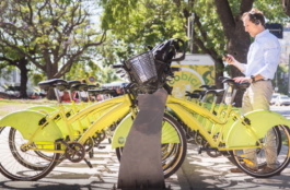 Ecobici CABA: Récord de viajes en un solo día