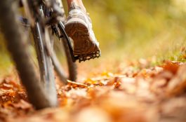 ¿Cómo evitar el robo de mi bici?