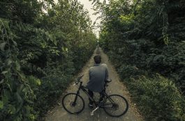 Novedades del mundo ciclista que ya se encuentran en Argentina