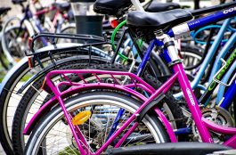 ¿Cuál es el Seguro de Bicicleta más completo? 🤔
