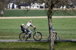 🚲 ¿Cómo llevar correctamente a un niño en Bicicleta?