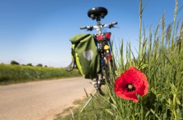 🚲 ¿Cómo equipar una Bicicleta para viajar?