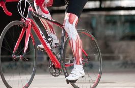Qué músculos se trabajan en la bicicleta