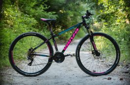 Bicicletas venzo: Origen, Modelos y características